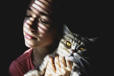 Неужели кошки любят людей за вкусную еду? - mur.tv