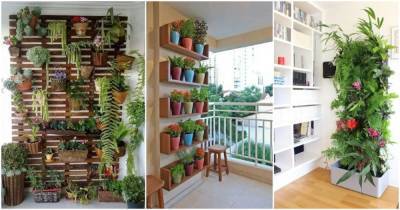20 популярных идей украшения дома с вертикальным зеленым садом - cpykami.ru