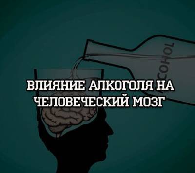 Влияние алкоголя на человеческий мозг - psihologii.ru