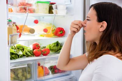 Как убрать запах из холодильника: эффективные шаги без помощи специалистов - 7days.ru