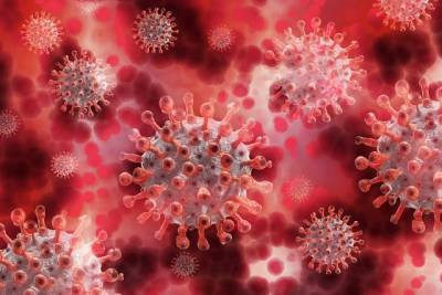 Десять новых фактов о коронавирусе - lifehelper.one