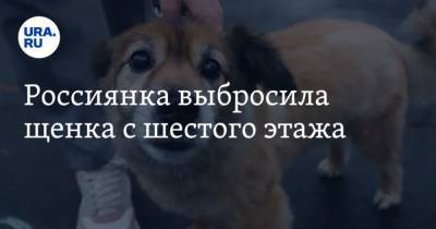 Россиянка выбросила щенка с шестого этажа - mur.tv - Приморье край
