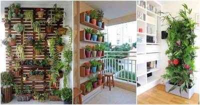20 популярных идей украшения дома с вертикальным зеленым садом - lifehelper.one
