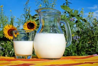 Мартин Лютер - Учёные рассказали, что через молоко коровы человеку передаётся смертельно опасный токсин - mur.tv