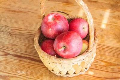 Как добиться урожая сочных яблок: 3 рекомендации - sadogorod.club