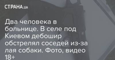 Два человека в больнице. В селе под Киевом дебошир обстрелял соседей из-за лая собаки. Фото, видео 18+ - mur.tv - Киев - Харьков - Херсон