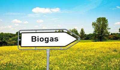 Что такое биогаз и как его получить? - lifehelper.one
