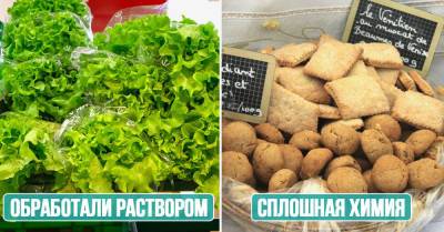 На что указывают шероховатости, крупинки и бороздки на скорлупе яиц - takprosto.cc