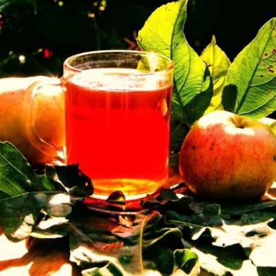 ​Чай из веток яблони: вкус зависит от сорта - polsov.com