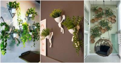 Красивые варианты вертикального озеленения для небольших комнат - lifehelper.one