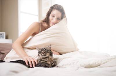 На что обращать внимание, если кошка спит с вами в одной постели? - lifehelper.one