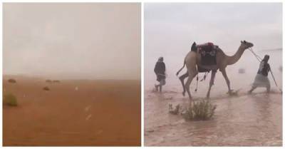 В ОАЭ в 50-градусную жару искусственно вызвали проливные дожди - porosenka.net - Эмираты - Катар