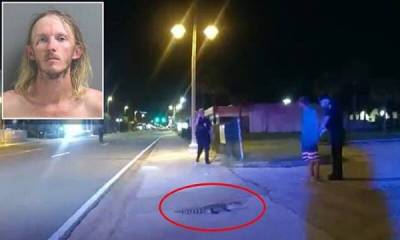 Полиция задержала мужчину, похитившего аллигатора - porosenka.net - штат Флорида - Конго