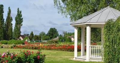 К.В.Шоха - 17 июля в Национальном ботаническом саду в Саласпилсе состоится ярмарка "День роз" - lifehelper.one
