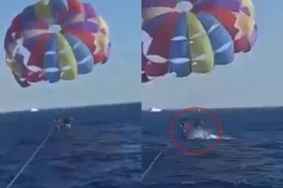 На курорте Красного моря акула выскочила из воды и откусила часть стопы парашютисту - porosenka.net