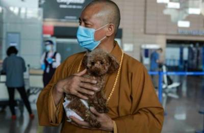 Монах спас тысячи бродяжек - porosenka.net - Китай - Германия
