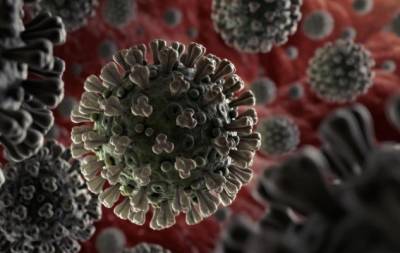 ВОЗ зафиксировали штамм коронавируса "Лямбда" более чем в 30 странах - hochu.ua - Чили - Эквадор - Аргентина