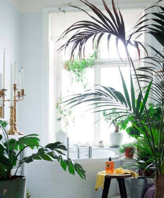 Растения в ванной комнате: 20+ примеров из интерьеров - elle.ru