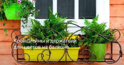 Кронштейны и держатели для цветов на балконе - sadogorod.club