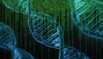 Американские ученые установили процент уникальности генома человека - fokus-vnimaniya.com