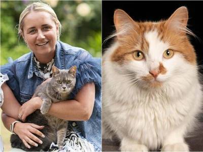 Трогательные истории о том, как кошки изменили жизнь своих хозяев - mur.tv - Англия