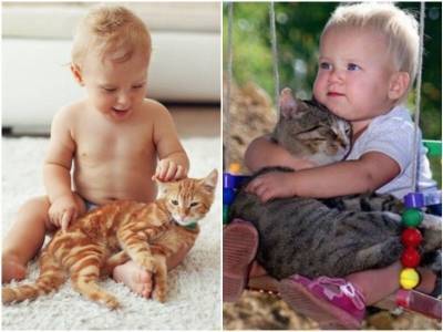 Как познакомить кошку и маленького ребенка - mur.tv