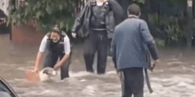 Наводнение в Лондоне: полицейский спешит на помощь собаке - mur.tv - Лондон - Англия