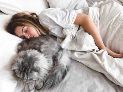 Почему кошка ложится на человека и спит на нём? - mur.tv