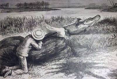 Инструкция XIX века по поимке крокодила на темнокожего ребёнка » Тут гонева НЕТ! - goneva.net.ua - Сша