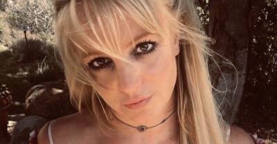 Бритни Спирс - «Они должны быть в тюрьме»: раскрыты детали звонка Бритни Спирс в 911 - wmj.ru - штат Калифорния