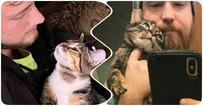 16 котов-подхалимов, которые демонстрируют хозяевам взгляд любви - mur.tv