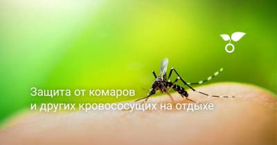 Защита от комаров и других кровососущих на отдыхе - sadogorod.club