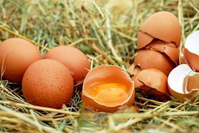 Яйца в огороде: 2 нестандартных способа использования - sadogorod.club