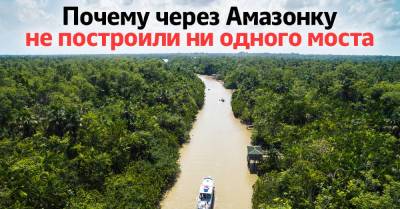 Почему нет смысла строить мост через Амазонку - takprosto.cc - Колумбия - Бразилия - Амстердам