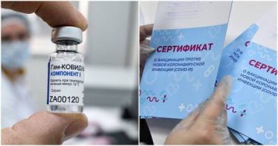 Медработник сливала в канализацию вакцины и подделывала COVID-сертификаты - porosenka.net - Россия - Красноярск