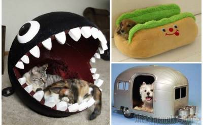 15 невероятных домиков для кошек и собак, которые заставят улыбнуться - fokus-vnimaniya.com