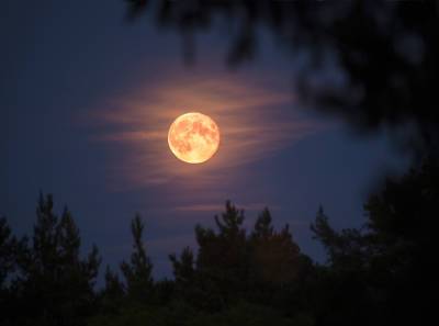 Что луна обещает каждому знаку зодиака в августе - vogue.ua