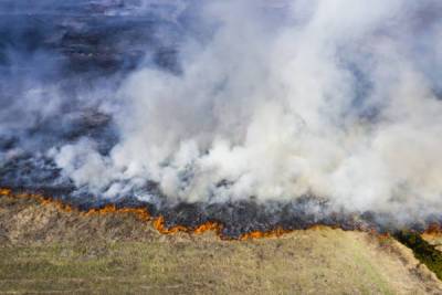В России продолжают бушевать лесные пожары: сгорают... - glamour.ru - Россия - республика Саха