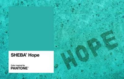 Pantone представил новый оттенок "Надежда": он посвящен восстановлению коралловых рифов - hochu.ua