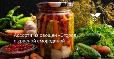 Ассорти из овощей «Огород» с красной смородиной - sadogorod.club