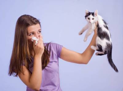 Что нужно знать, если у вас появилась аллергия на животных? - lifehelper.one