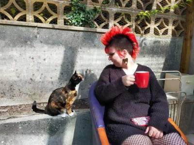 Подборка фоток с котиками, которые заставят рассмеяться! - mur.tv