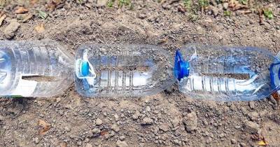 Собирайте 5-литровые пластиковые бутылки и оформите красоту на участке - lifehelper.one