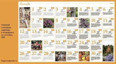 Лунный посевной календарь садовода, цветовода и огородника на сентябрь 2021 года - sadogorod.club - Виноград