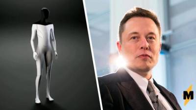 Илон Маск - Илон Маск сделает Tesla Bot медленным и добрым. Во время бунта хозяин убежит или попросит пощады - fokus-vnimaniya.com - Россия