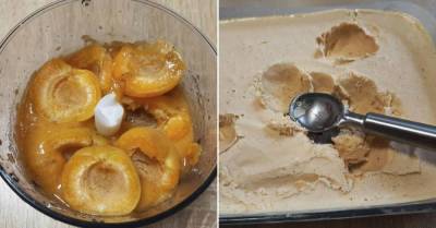 Домашнее мороженое с абрикосами без перемешивания и ощущения снега или льда - lifehelper.one
