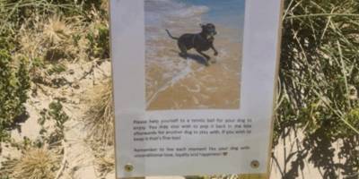Чтобы память о твоей собаке жила: трогательное решение хозяина - mur.tv