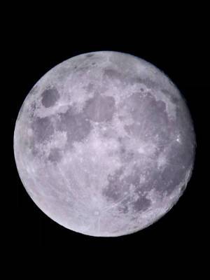 Показываю Луну в любительский телескоп. Прямо сейчас Жена давно хотела поесть в дорогом месте Лицемерные… - porosenka.net