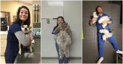 15 ветеринаров, которым просто нужно было показать своих самых очаровательных пациентов - lifehelper.one
