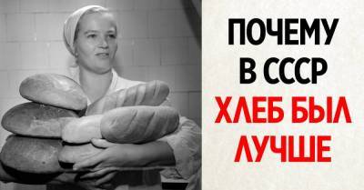 Почему советский хлеб был вкуснее того, что мы берем в магазинах - lifehelper.one